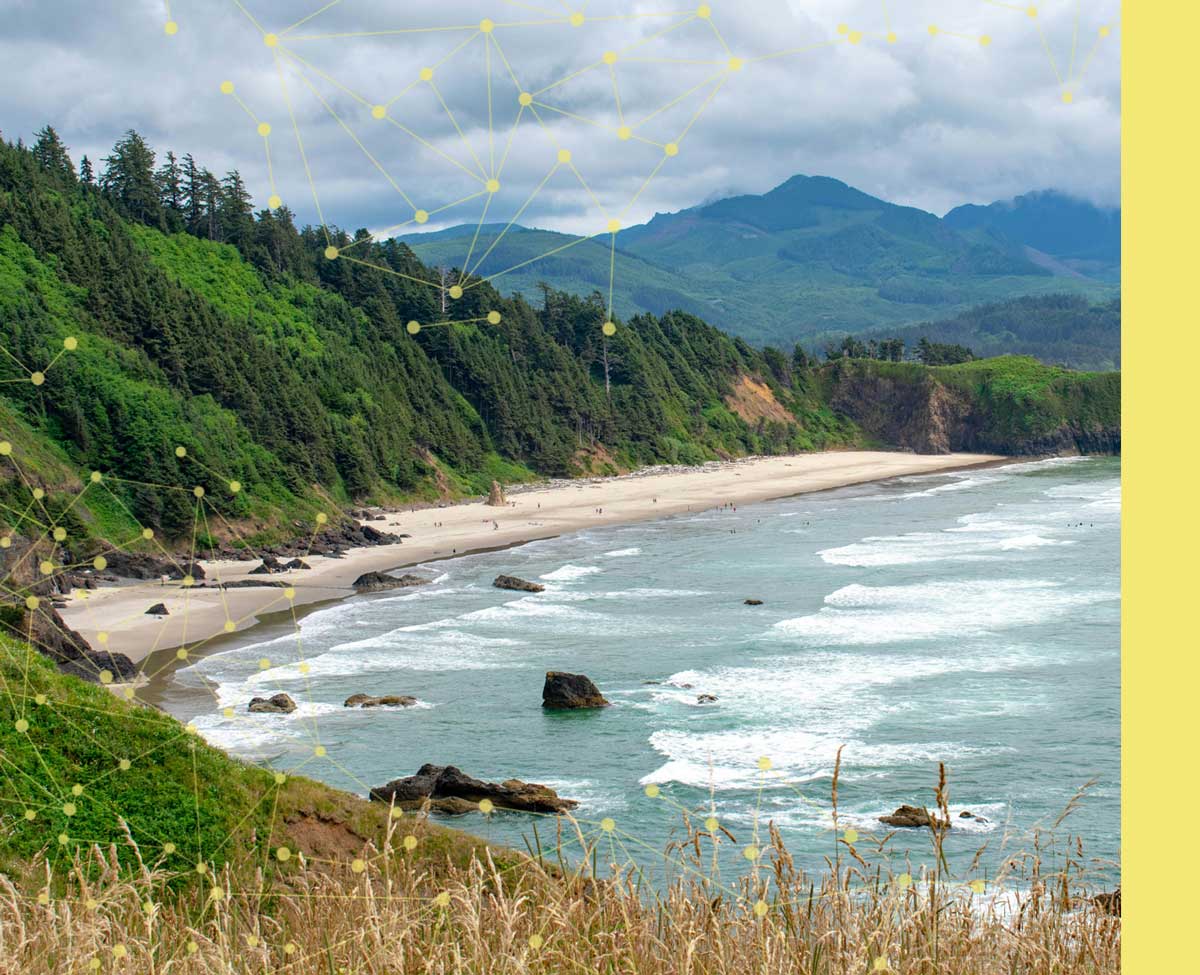 ai-assistants-what-are-they Oregon shore - AI assistants at work