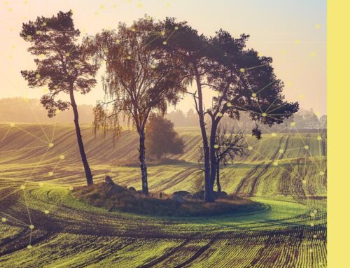 Multi-Resolution Analysis: The Three Views