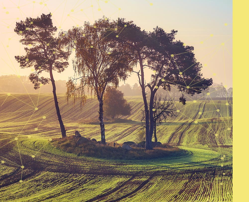 high-resolution-analysis 3 trees