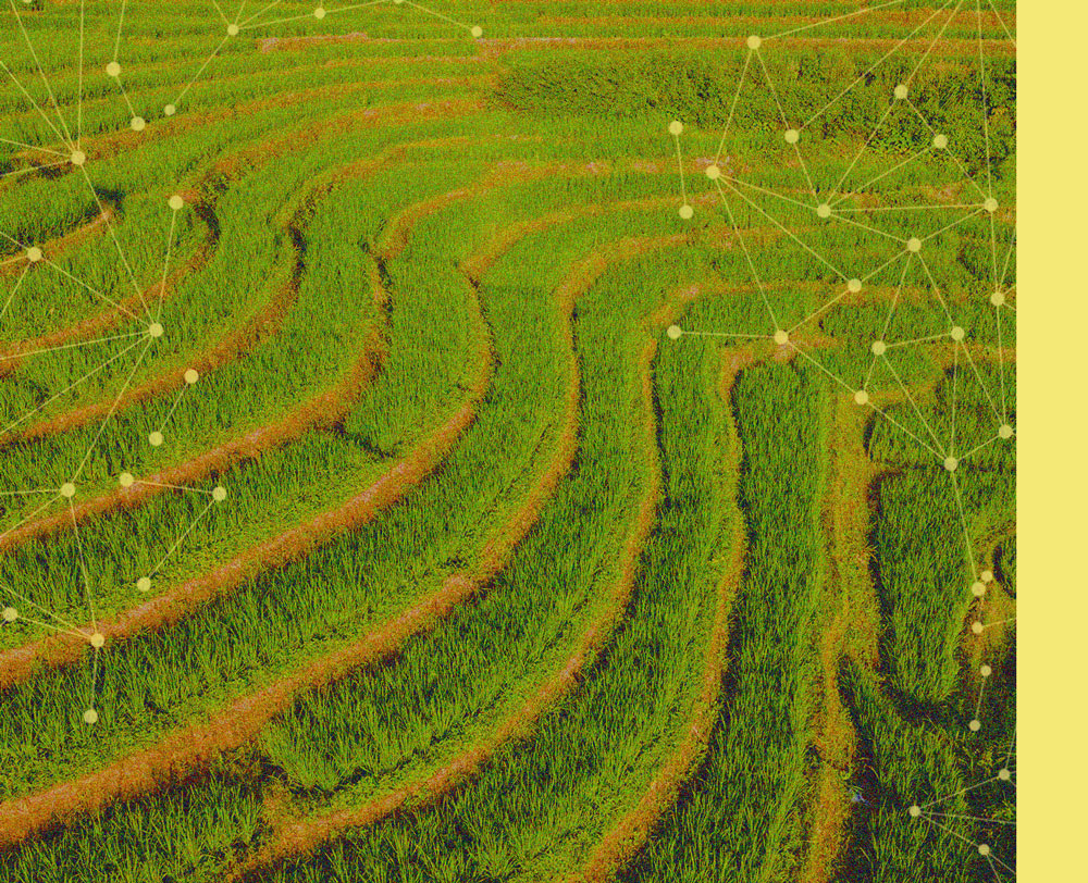 rl-agents-algorithmic-futures-trading Grass field as metaphor for training RL agents that trade futures as bots and algos