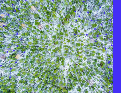 Visual Pattern Recognition in Algorithmic Trading: Can RL Agents “See”?